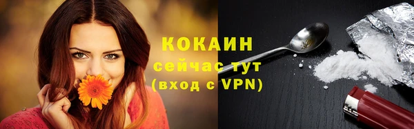 индика Аркадак