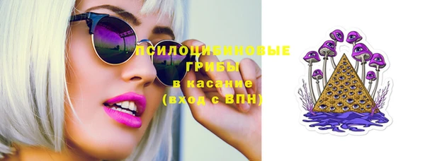 индика Аркадак