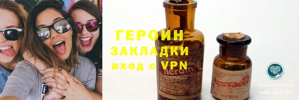 индика Аркадак