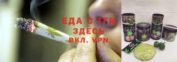 индика Аркадак