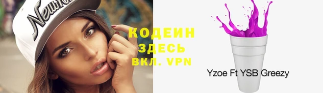 индика Аркадак