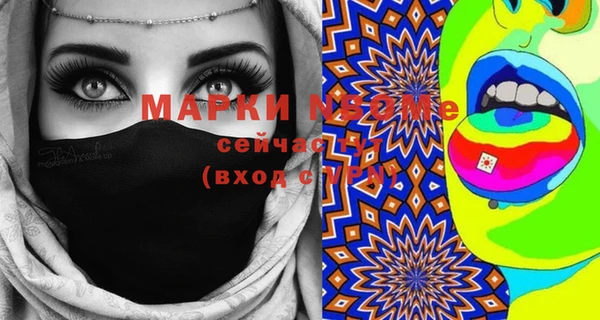 индика Аркадак