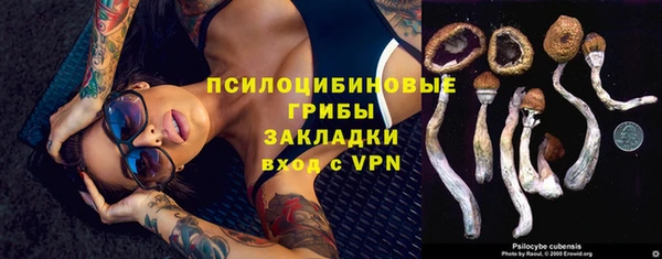 спайс Арсеньев