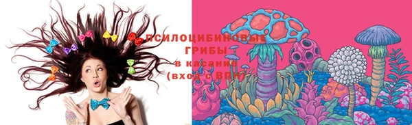 спайс Арсеньев