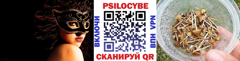 Псилоцибиновые грибы Cubensis  Теберда 