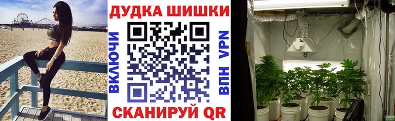 Шишки марихуана индика Теберда